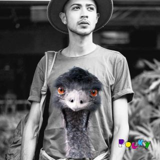 Pštros. Pták, co má větší oči než mozek. I toho si můžeš nažehlit na triko. Velkýho nebo menšího. #pstros #Nazehlovacky...